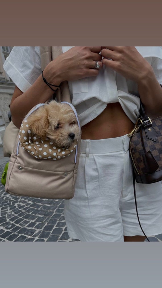 designer dog carrier