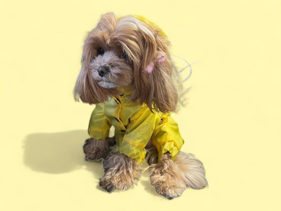 Yellow Rain Coat for Dog Wind Resistant Dog Coat Maltipoo Raincoat