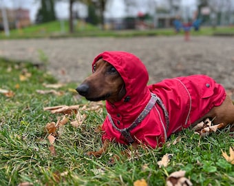 Red dog rain coat with hood Wind resistant dog coat Dachshund raincoat Custom dog overall Custom dog overall