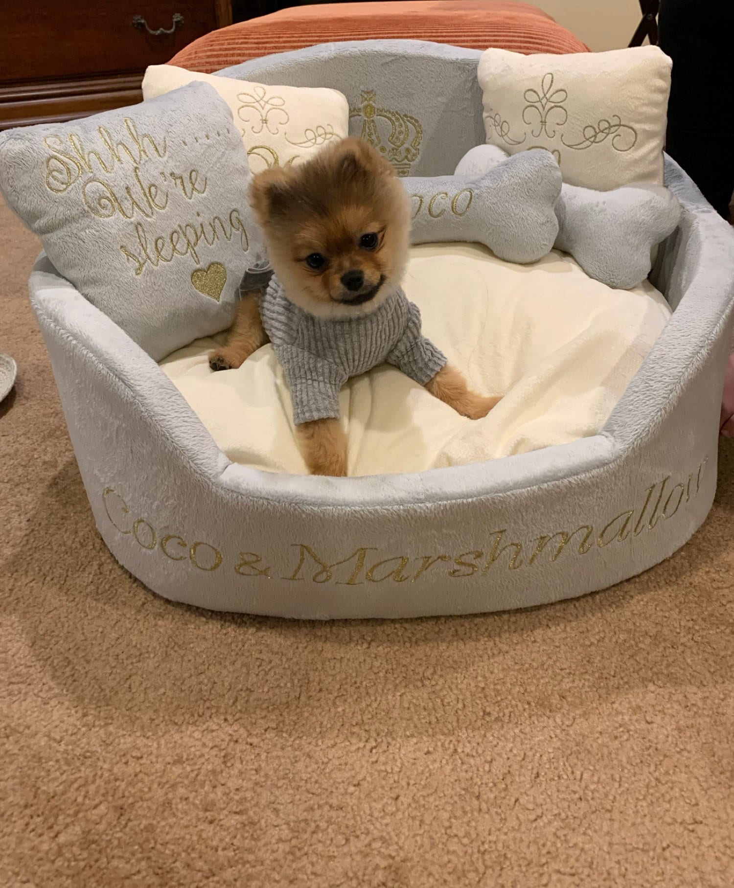 Monogram Designer LV Cozy Dog Bed