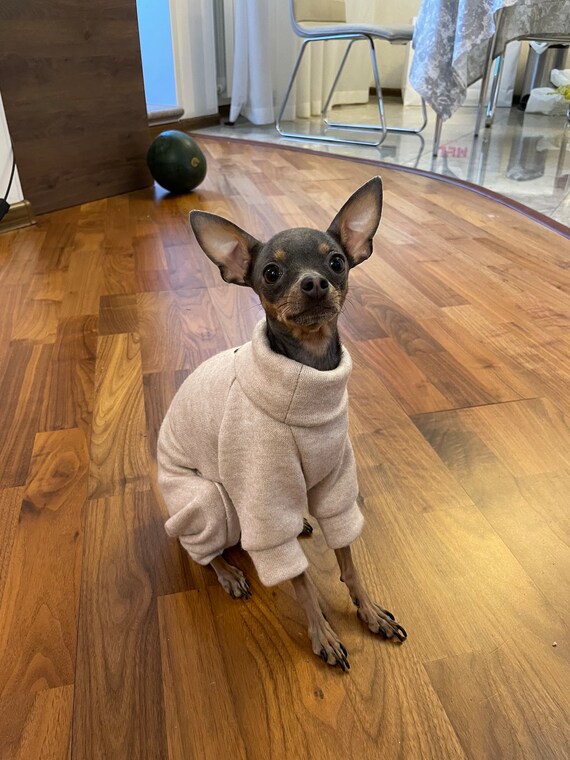 Warm Fleece Dog Pajamas: Custom Small Dog Costume