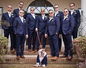 Navy blue dog tuxedo with golden sequins bow tie Dog wedding attire Formal dog suit Swallow-tailed dog coat Birthday dog costume Custom