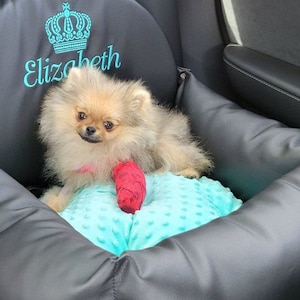 Zwart en mintgroen gepersonaliseerd hondenautostoeltje Drijfpakket voor hond Designer hondenautostoeltje Luxe hondenmand voor op reis Aangepast hondenautostoeltje