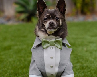 Light gray dog tuxedo with sage green bow tie Chihuahua dog suit Yorkshire tuxedo Evening dog outfit  Birthday dog costume