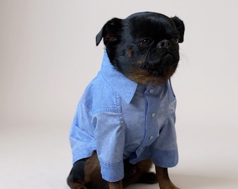 Organic Cotton Dog Shirt: Light Blue Breathable Pet Apparel