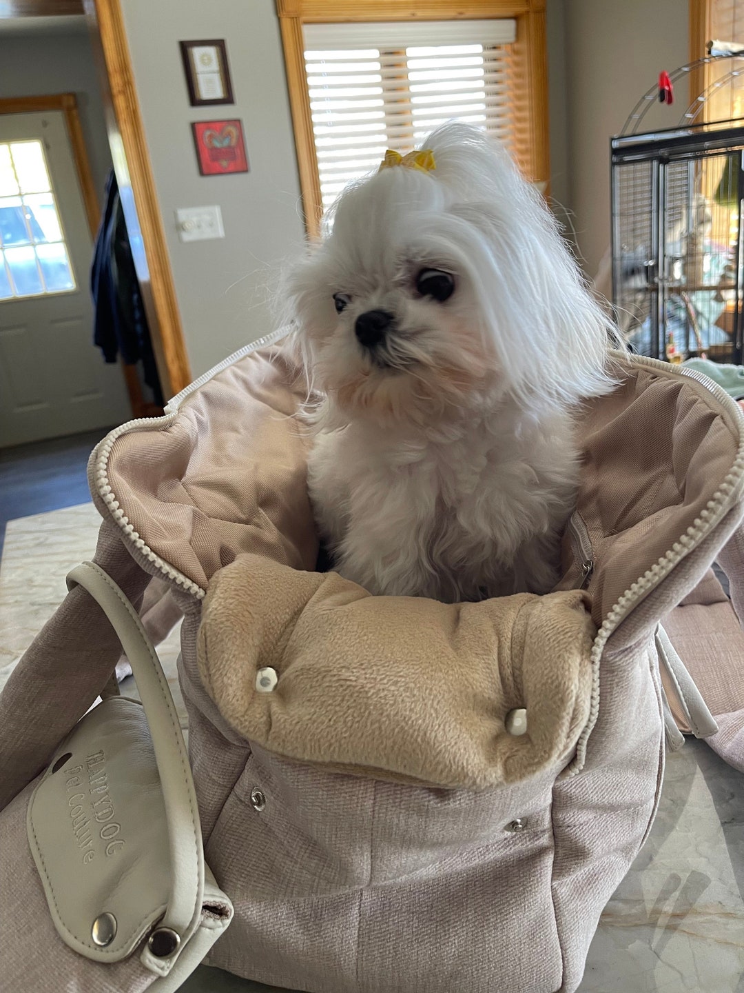 Beige Luxury Dog Carrier: Warm Designer Puppy Bag - Etsy