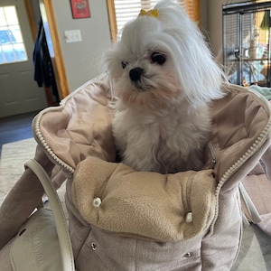 Beige luxury dog carrier Designer dog carrier Bag for small dog bag Puppy bag Warm dog carrier Winter dog bag for maltese