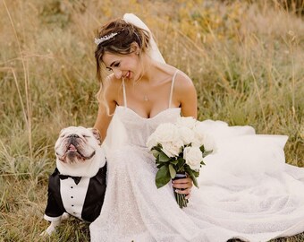 Black Dog Tuxedo with Bow Tie: Custom Wedding Outfit