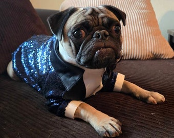 Könnte beinhalten: Ein Mops trägt eine marineblaue Paillettenjacke mit schwarzem Revers und weißem Hemdkragen. Der Hund liegt auf einem braunen Sofa mit einem neutralfarbenen Kissen im Hintergrund.