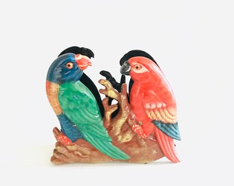 Tiara Parrot Assorted Colours
