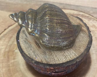 Vintage Brass Seashell Nautical Office Paperweight