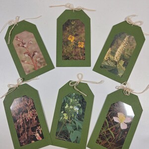 Set of 5 Collage Window Tags / Junk Journal Embellishments / Art Journal / Junk Journal Embellishments