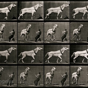 Eadweard Muybridge Photo, Vintage Motion Study, Horse pulling load, 1880s