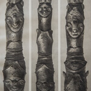 Karl Blossfeldt - Aesculus parviflora, Sycamore - Photogravure