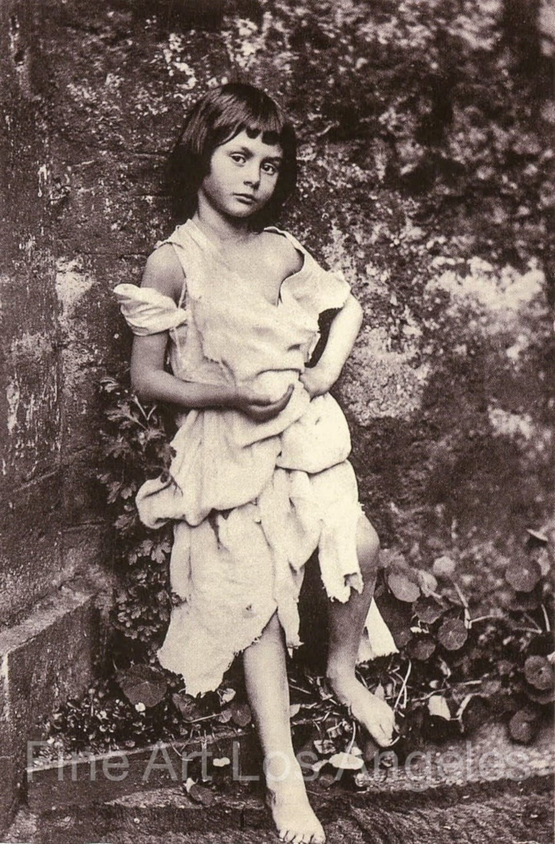 Lewis Carroll ルイス・キャロル　Anne Higonnet　写真集 Lewis Carroll ルイス・キャロル Anne Higonnet 写真集 美術解説