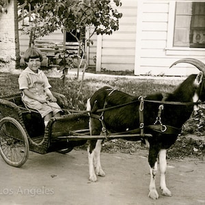 ヤギの荷車に乗った少女の写真、1920年