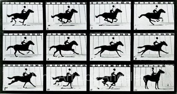 eadweard muybridge photo motion study horse with rider 1880s eadweard muybridge