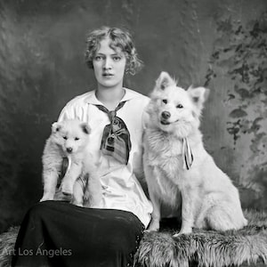 Adam MacLay Photo, Studio Portrait of Young Woman with Her Huskies, 1920s