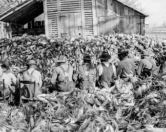 Marion Post Wolcott Photo, "Corn Shucking" North Carolina, 1939