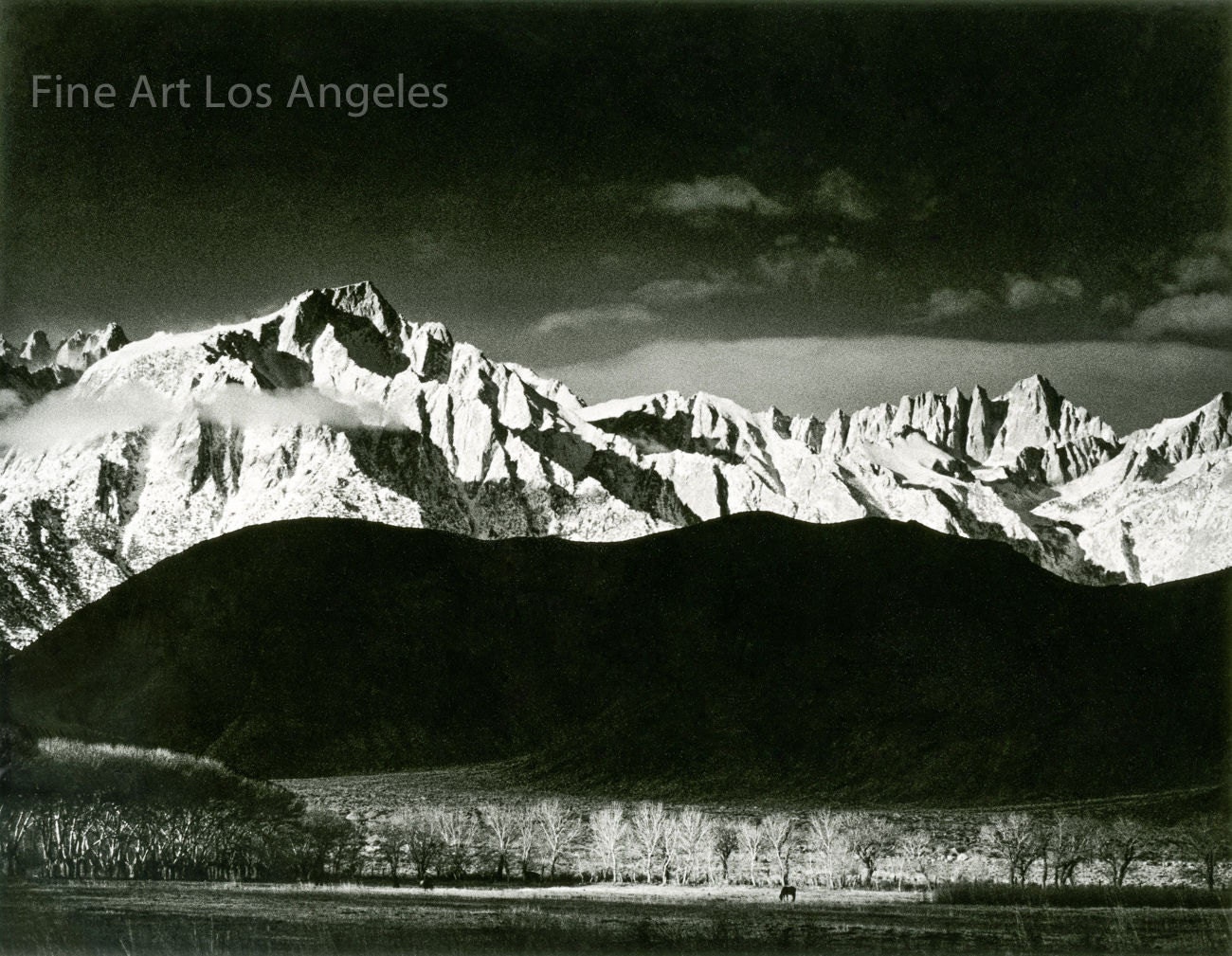 値下げアルソアWinter Sunrise 656定価¥10,000の新品です。 Ansel Adams Photo 