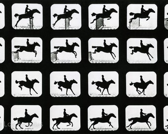 Eadweard Muybridge Photo, Jumping Horse, 1880s, 11x17"