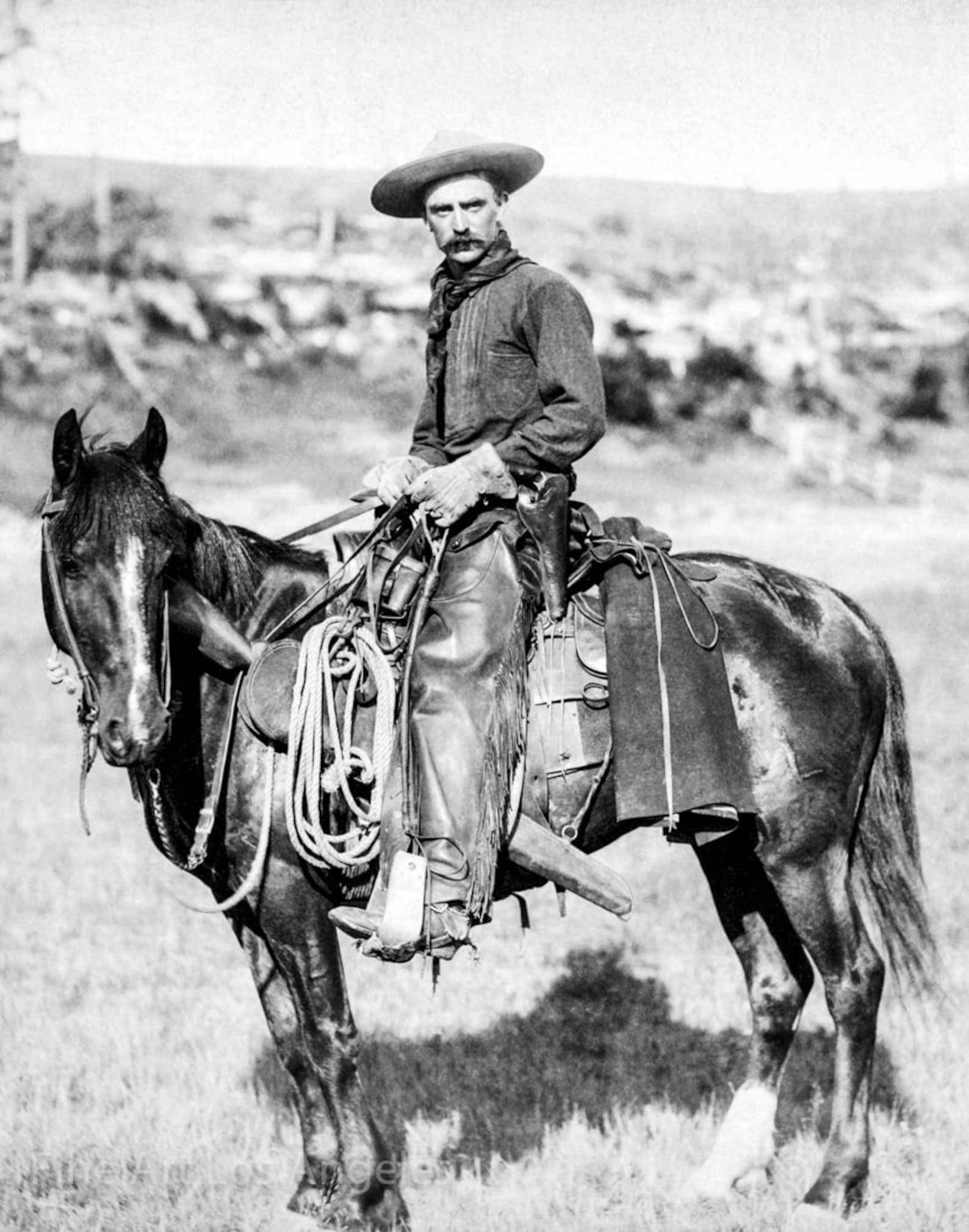 John C.H. Grabill Photo the Cowboy Late 1800s Etsy