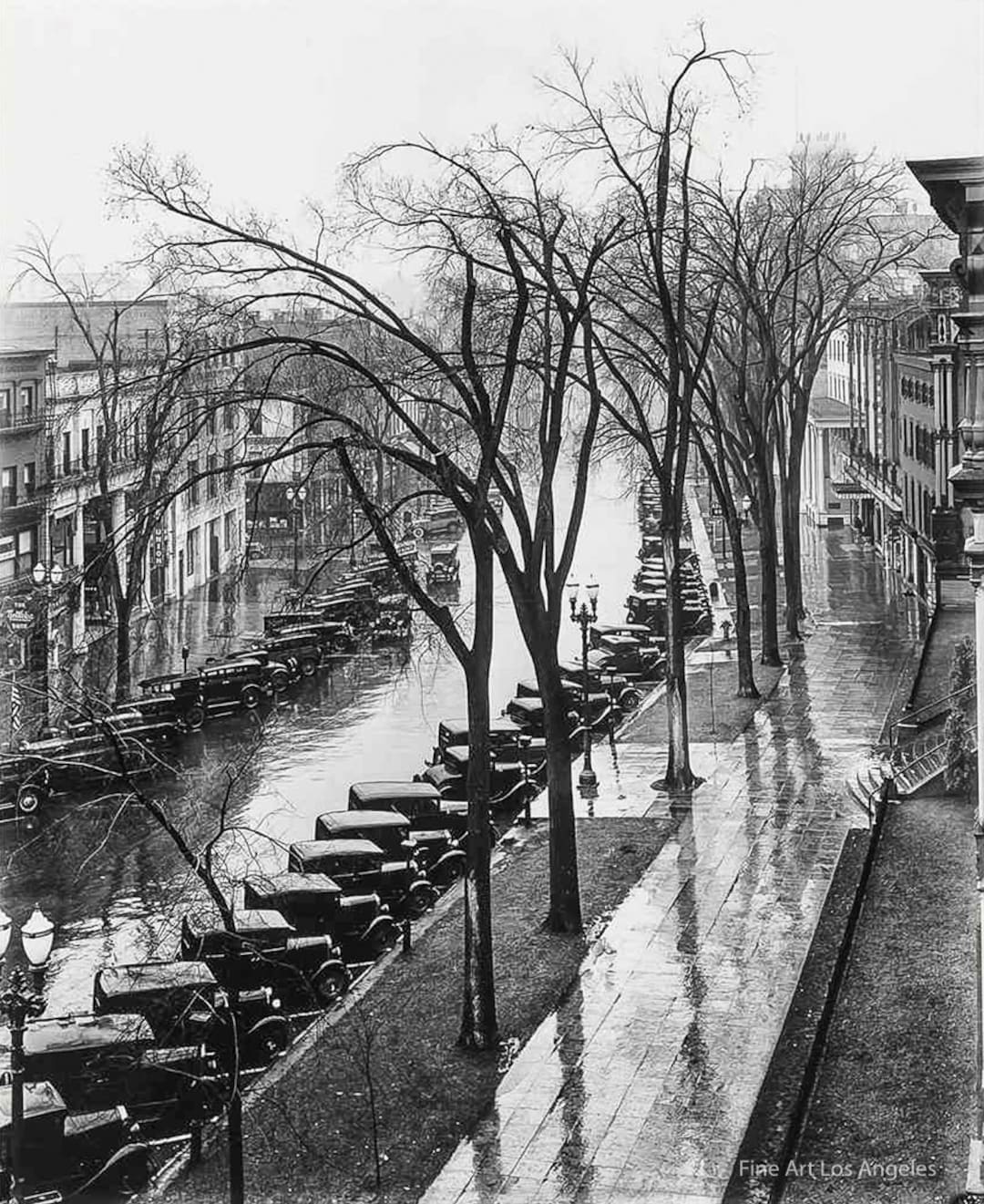 Walker Evans 作品集 Walker Evans: Walker Evans, John Szarkowski: 9780870703126: Amazon