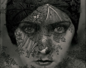 Photo of Gloria Swanson by Edward Steichen, 1924
