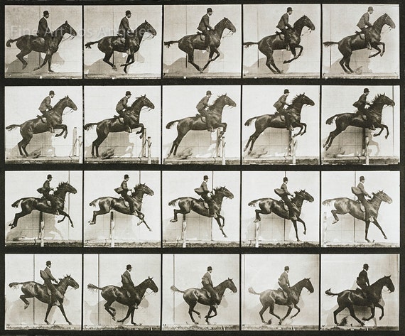 Eadweard Muybridge Photo, Vintage Motion Study, 