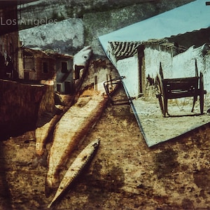 Andrew Reichline Photo "Spanish Mackerel" unique composite, 11x18" image