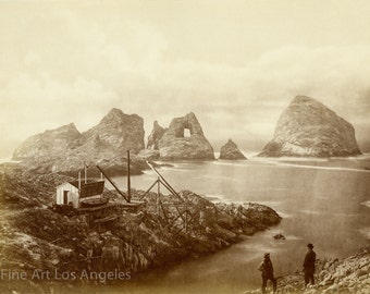 Eadweard Muybridge Photo, Fisherman's Bay, South Farallon Island, 1871