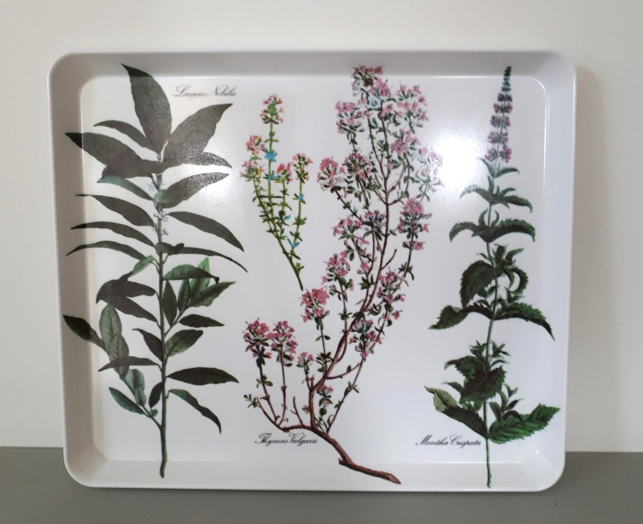 Decorative Crafts Inc. Made in Italy Plastic Art Tray Melamine Botticelli  Flora