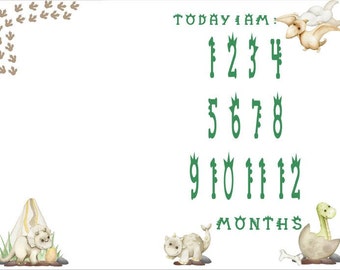Dino Baby Milestone Blanket: Flannel Monthly Photo Prop
