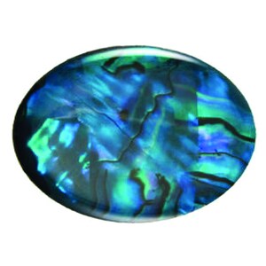 Può includere: Un guscio di abalone rotondo e iridescente con vortici blu, verdi e neri.