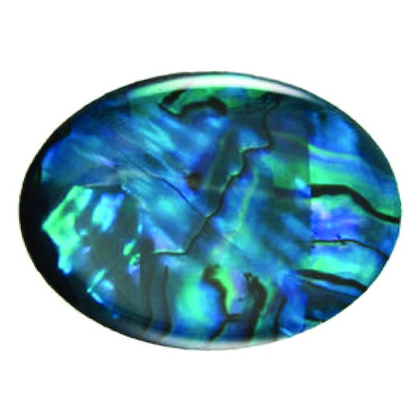 Cabochon ovale lâche Paua Shell ormeau naturel Shell Couleurs lumineuses dans plusieurs tailles