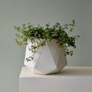 HORTUM 10ø | Concrete Planter - Plant Pot - Diameter 10cm  (4 inch)