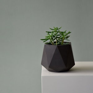 HORTUM 6ø | Concrete Planter - Plant Pot - Desk Plant - Diameter 6cm  (2 inch)