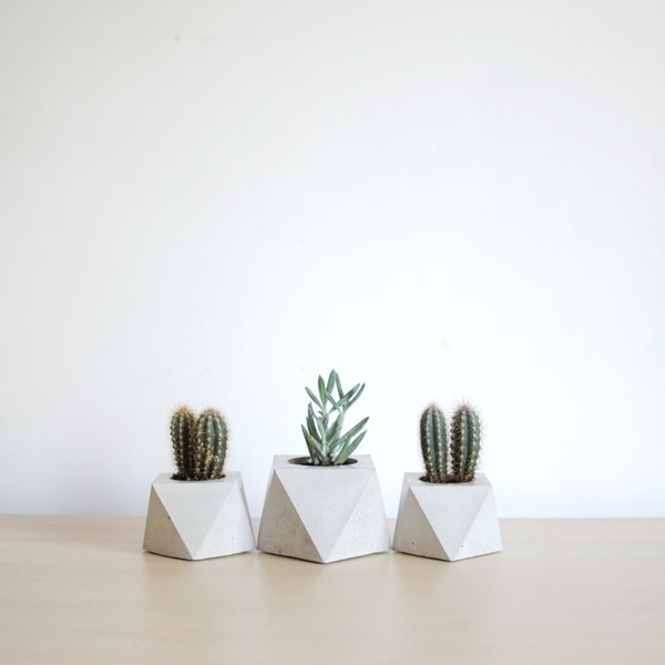 FORMA | Concrete Succulent Planter - set of 3