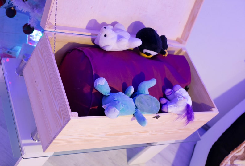 Pu&ograve; includere: Un baule di legno per giocattoli con una fodera viola e una variet&agrave; di giocattoli di peluche all'interno, tra cui un pinguino, un unicorno e un dinosauro blu.