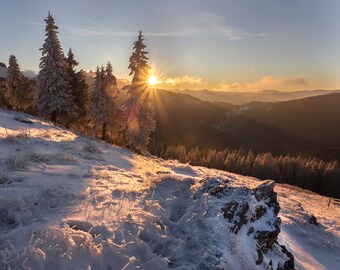 Digital Sunrise, frosty winter, trees full of snow Landscape Wall Art whinter landscape