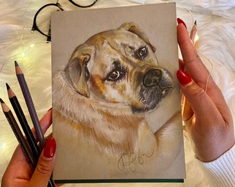 Hand Drawn Custom Pet Portrait from photo | Realistic style in colored pencil | Bespoke Christmas, Anniversary, Wedding, Birthday Gift
