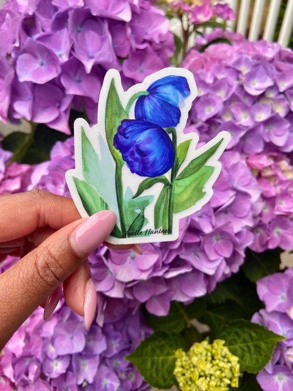 1 CLEAR Vinyl Decal Blue Poppy Flower Watercolor Design Etsy