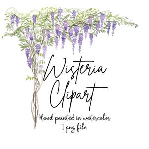 Wisteria Clipart- Hand painted watercolor purple flowers-Printable digital PNG file for Invites and other projects