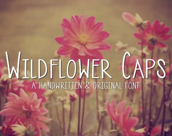 Wildflower Caps Handwritten Font