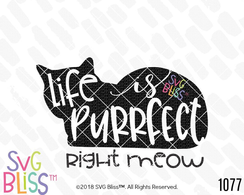 Download Cat SVG Life is Purrfect Right Meow Quote Saying Cat Lady | Etsy