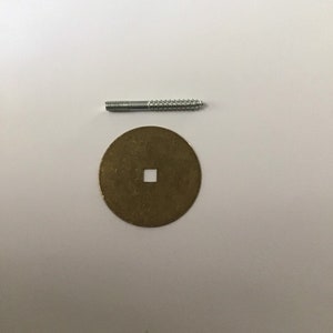 May include: A silver screw with a brass washer. The screw has a threaded shaft and a pointed tip. The washer is round with a square hole in the centre.