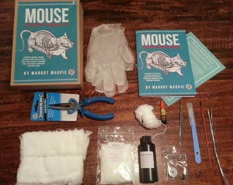 DIY Mouse taxidermy craft kit inc. manual and full tool kit for stuffing