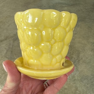 Vintage McCoy Pottery in Creamy Lemon Yellow! Sweet and petite!