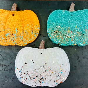 PUMPKIN | freshie