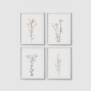 Print set of 4 Wildflower prints Botanical poster Wildflower posters Floral wall art print Flower print Botanical wall art Flower wall art image 1